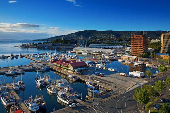 Hobart Shore Excursion: Small Group Mount Wellington 3-Hour Bike Tour - Common Questions