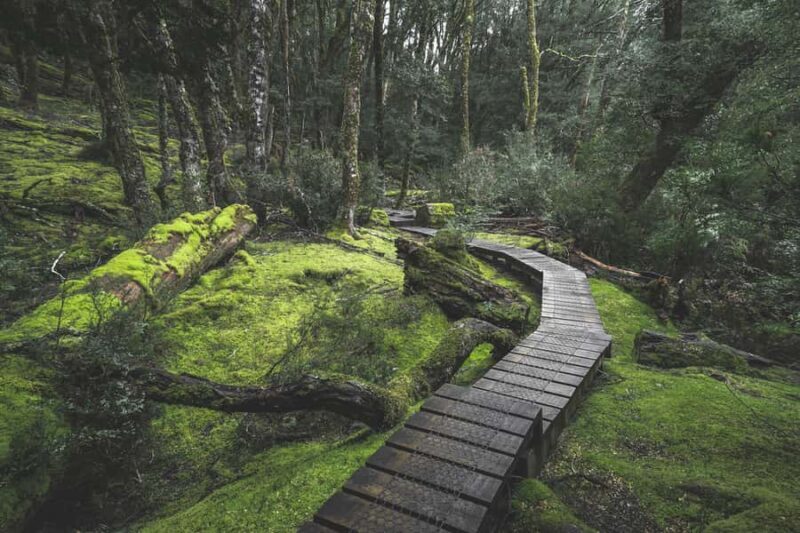 Hobart to Cradle Mountain to Launceston - Good To Know