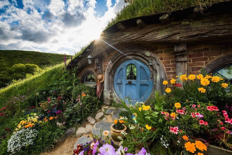Hobbiton and Blue Springs Small Group Tour from Auckland - Two Waikato stops in one day