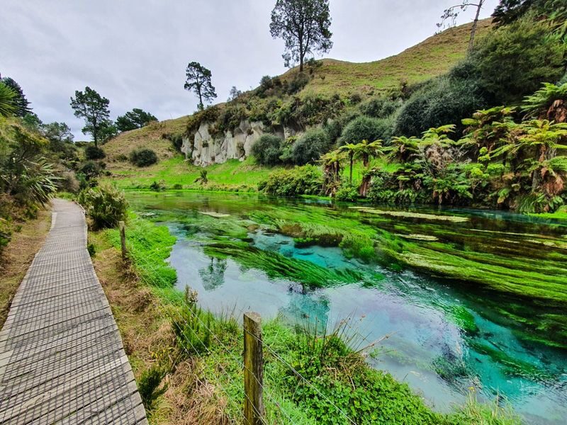 Hobbiton and Blue Springs Small Group Tour from Auckland - Is the price good value?