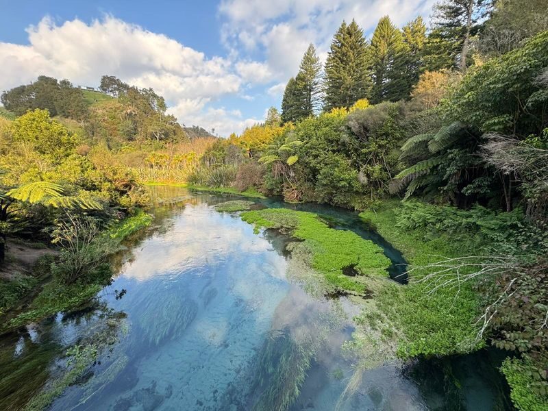 Hobbiton and Blue Springs Small Group Tour from Auckland - Pickup, timing and a few practical details
