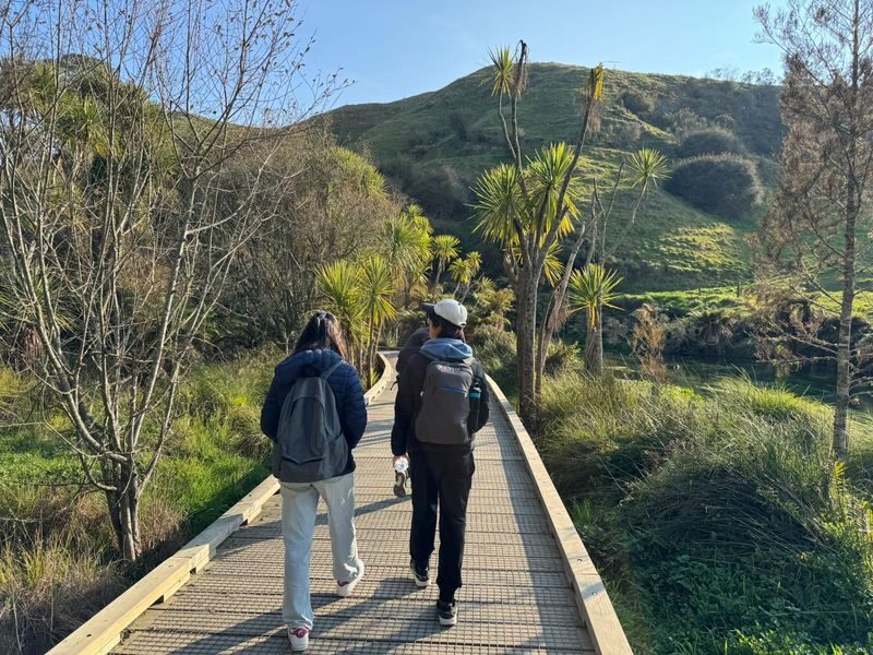 Hobbiton and Blue Springs Small Group Tour from Auckland - Who will enjoy this day most?