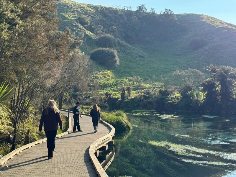 Hobbiton and Blue Springs Small Group Tour from Auckland - Should you book the Hobbiton and Blue Springs tour?