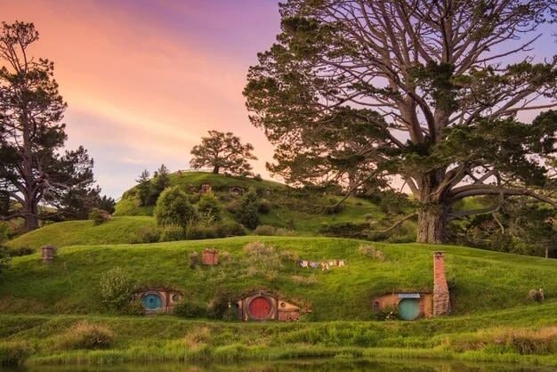 Hobbiton and Lord of the Rings Movie Set Tour - A film set with real working-farm surroundings