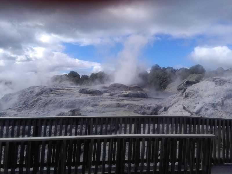 Hobbiton and Rotorua Day Tour - Hobbiton: a guided walk through Middle-earth