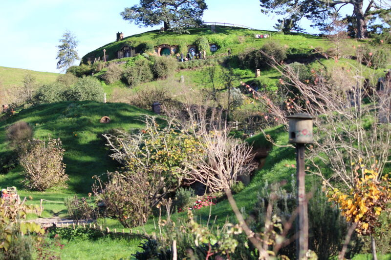 Hobbiton and Rotorua Day Tour - Mercedes transport and a long road day