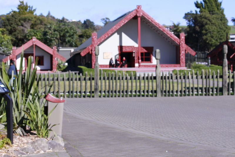 Hobbiton and Rotorua Day Tour - Should you book it?