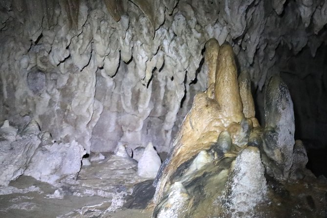 Hobbiton and Spellbound Tour (Glowworm Cave at Waitomo) - Tour Overview