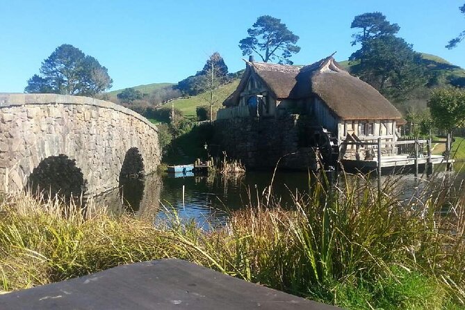 Hobbiton and Spellbound Tour (Glowworm Cave at Waitomo) - Traveler Photos