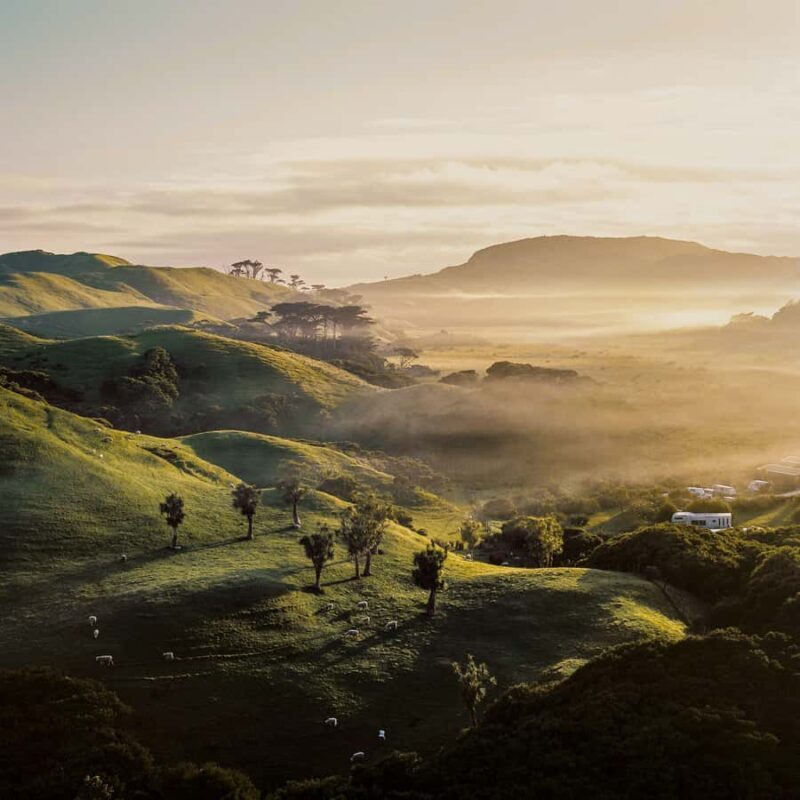 Hobbiton and Waiotapu Thermal Wonderland : PRIVATE TOUR - Who Will Love This Tour?