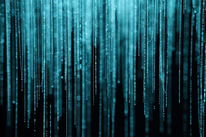 Hobbiton and Waitomo Caves Small Tour from Auckland - The Sum Up