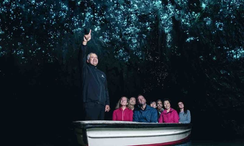 Hobbiton and Waitomo Glowworm Caves Day Tour - What to know before you book