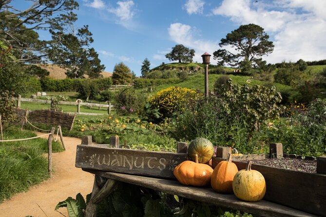 Hobbiton Day Tour From Rotorua With Lunch at Hobbiton - Terms and Conditions