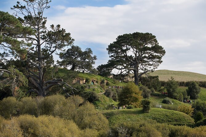 Hobbiton Day Tour From Rotorua With Lunch at Hobbiton - Lunch at Hobbiton