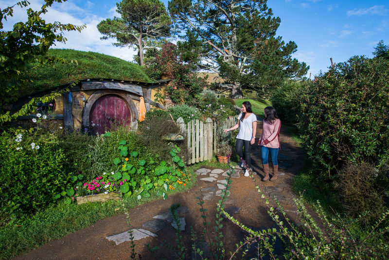 Hobbiton Movie Set and The Green Dragon Inn Guided Tour - Who will get the most from this tour