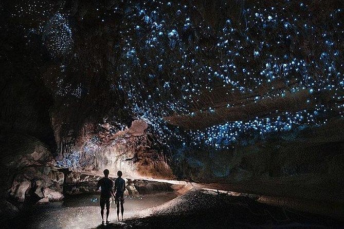 Hobbiton Movie Set and Waitomo Caves Full Day Tour From Auckland - Recommendations for a Memorable Experience