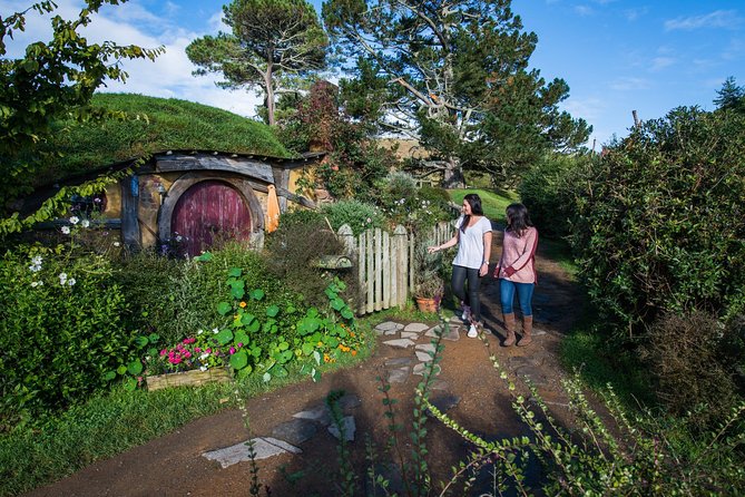 Hobbiton Movie Set Group Tour Early Access (Avoid the Crowds!) - Traveler Reviews