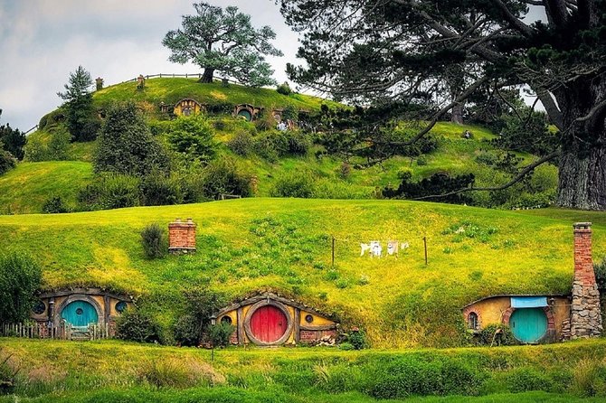 Hobbiton Movie Set Luxury Private Tour From Auckland - Pricing and Options