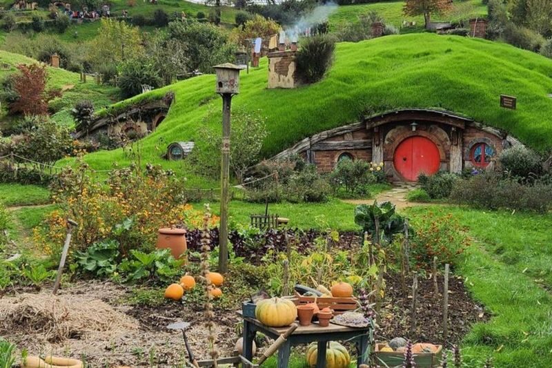 Hobbiton Movie Set Small Group Day Tour - The road from Auckland to the Shire