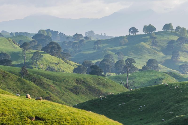 Hobbiton Movie Set Small Group Guided Tour - Lunch and the journey back