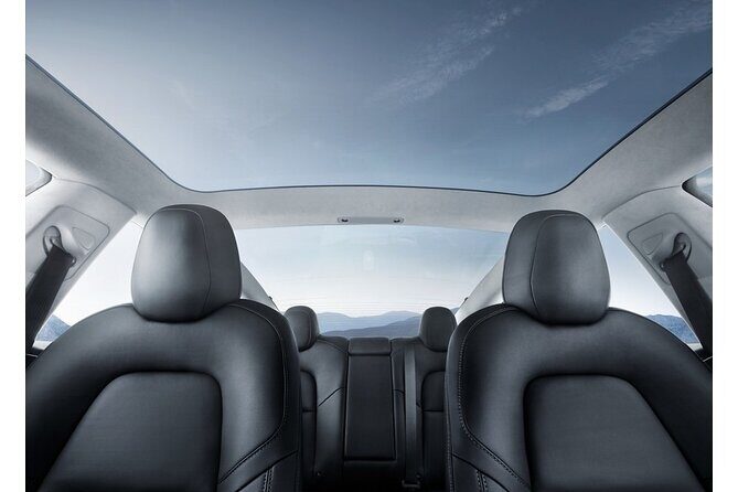 Hobbiton Movie Set Small Group Private Transfer from Auckland - Detailed Breakdown of the Experience