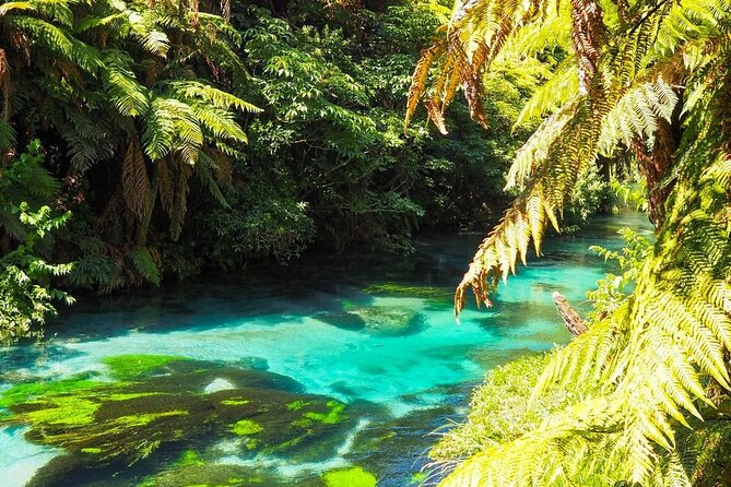 Hobbiton Movie Set Tour to Blue Springs and Mineral Spa - Practical Information