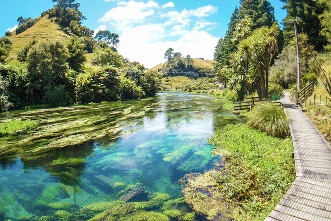 Hobbiton Movie Set Tour to Blue Springs and Mineral Spa - The Sum Up