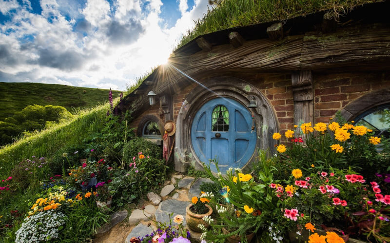 Hobbiton Movie Set, Waitomo Caves & Kiwi House Small Group Tour - What the $285.15 starting price means
