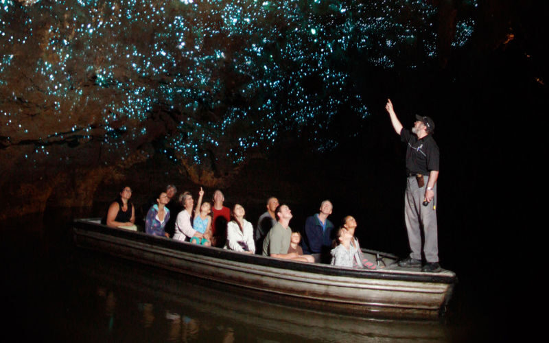 Hobbiton Movie Set, Waitomo Caves & Kiwi House Small Group Tour - A few practical checks before you book