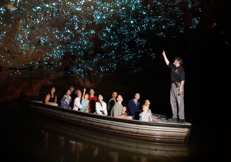 Hobbiton Movie Set & Waitomo Caves Small Group Tour From Auckland - Who should choose this tour?