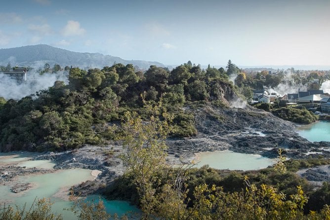 Hobbiton & Rotorua Living Māori Village Private Tour Ex-Auckland - Accessibility Information