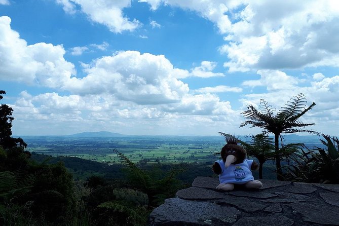 Hobbiton Transport & Tauranga Highlights Excursion From Tauranga - Reviews and Ratings