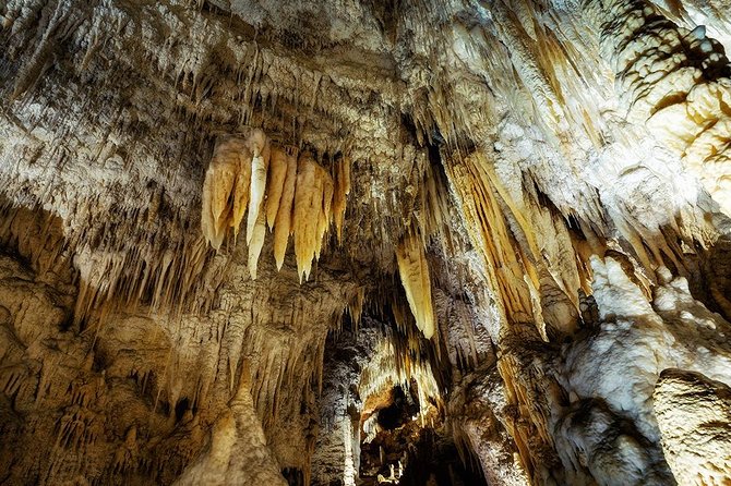 Hobbiton & Waitomo Caves Small Group Tour From Auckland - The Sum Up