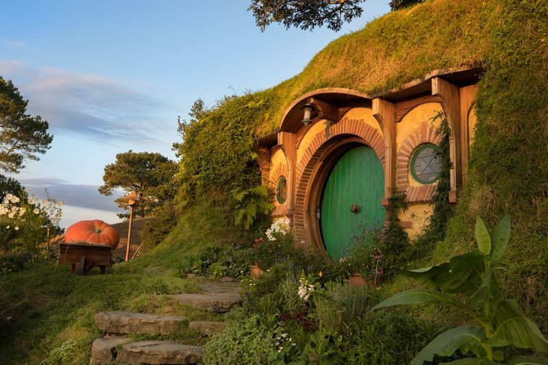 Hobbiton & Waitomo Tour with Picnic Lunch from Auckland - What the coach and lunch add to the day
