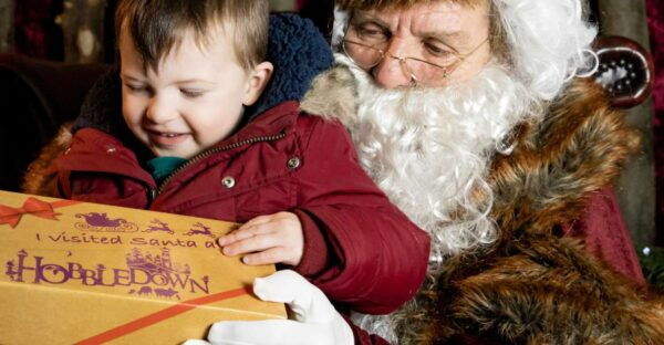 Hobbledown Heath One Day Entry Ticket - The Sum Up