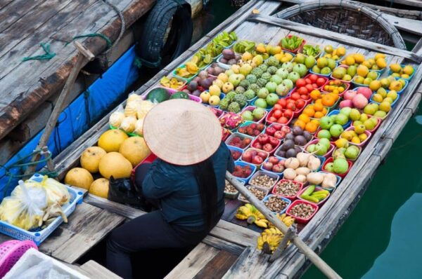 Hochiminh: Cai Rang Floating Market & Mekong Delta 1 Day - Inclusions and Services