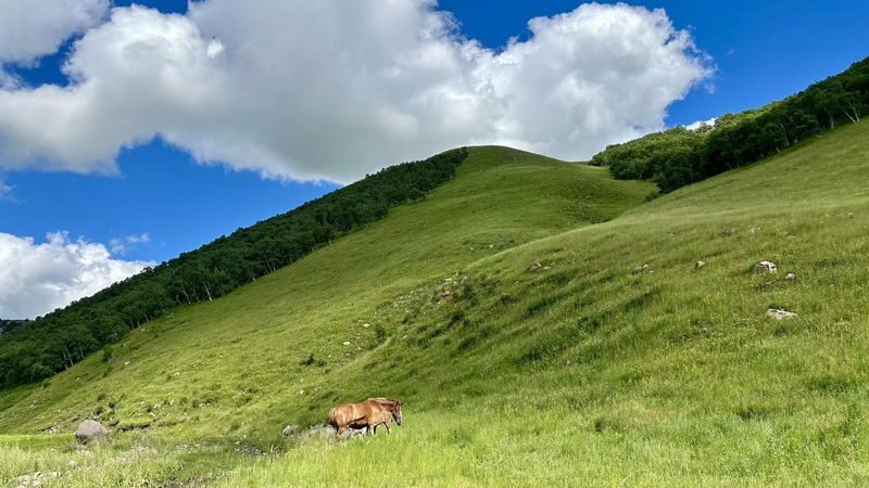 Hohhot Huitengxile Grassland & Ulan Hada Volcano Small Group Tour - Ulan Hada, where time matters