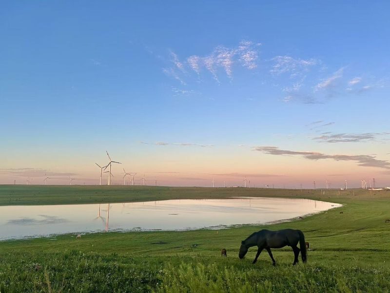 Hohhot Huitengxile Grassland & Wulanhada Volcano Full-Day Tour - Key points before you book