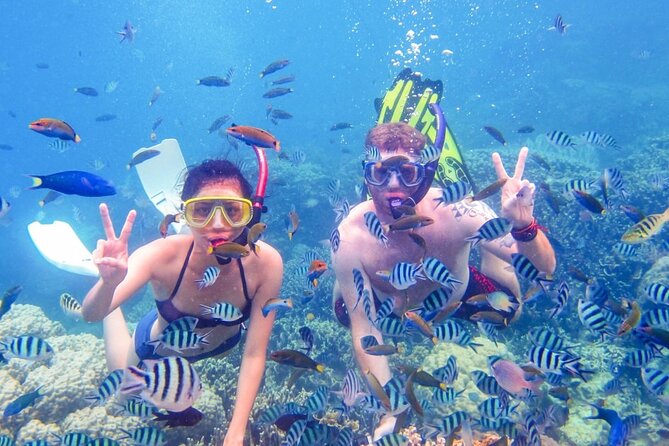 Hoi An 1-Day: Cham Island, Beach, Snorkeling, Lunch-All Inclusive - Tour Highlights