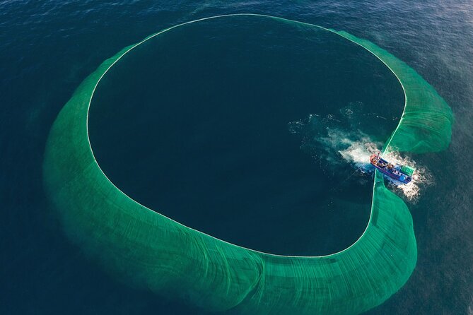 Hoi An 1-Day: Cham Island, Beach, Snorkeling, Lunch-All Inclusive - Snorkeling and Water Activities