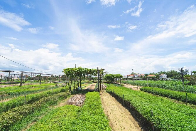 Hoi An Basket Boat And Herb Village - Half-Day Bike Tour - Additional Information