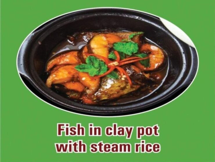 Hoi An: Basket Boat Tour &Discover Cam Thanh Coconut Village - Experience the Charm of Cam Thanh