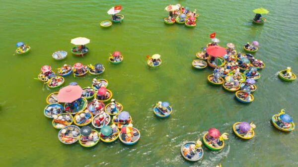 Hoi An: Basket Boat Tour (Includes Transfer, a Fresh Coconut) - Tips for an Enjoyable Experience