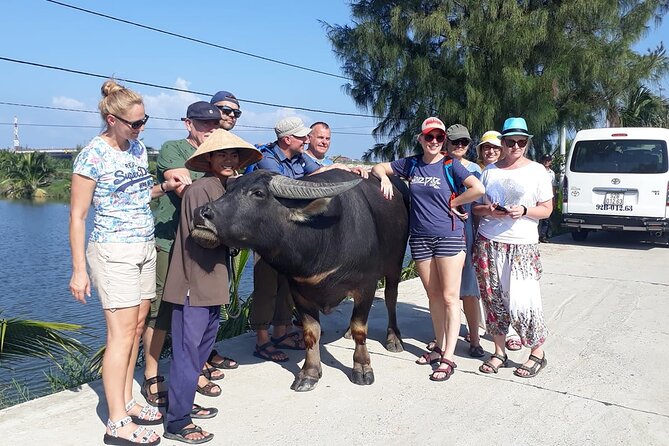 Hoi An Bicycle And Cooking Class Tour - Common Questions