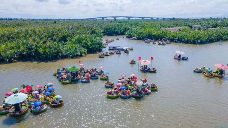 Hoi An: Cam Thanh Tour on a Traditional Bamboo Basket Boat - Itinerary and Activities