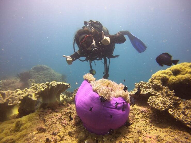 Hoi An: Cham Island Discover Scuba Dive for Beginner 1-Day - Itinerary Highlights