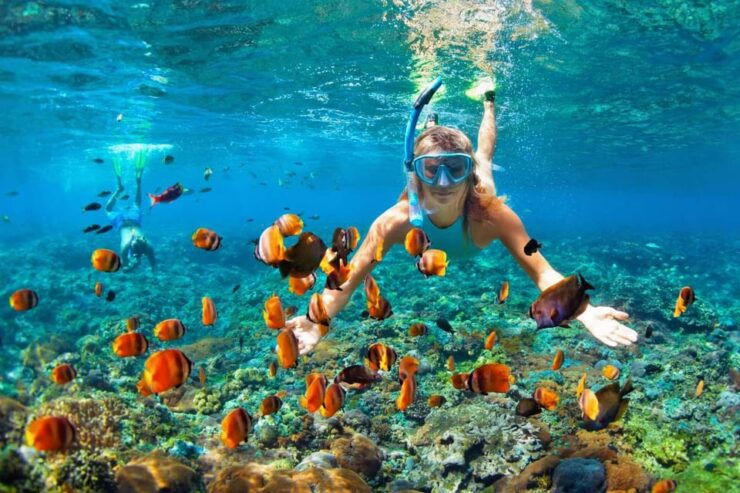 Hoi An: Cham Island Snorkeling and Sightseeing Tour - Good To Know