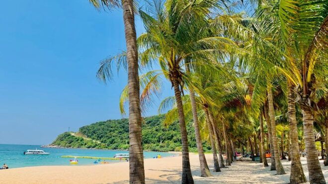 Hoi An: Cham Island Snorkeling and Sightseeing Tour - Marine Protected Area