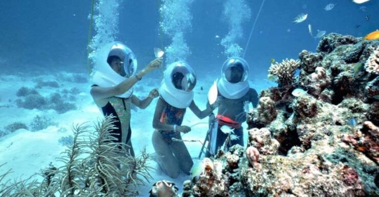 Hoi An: Cham Island Snorkeling or Underwater Walking Tour - Itinerary and Activities