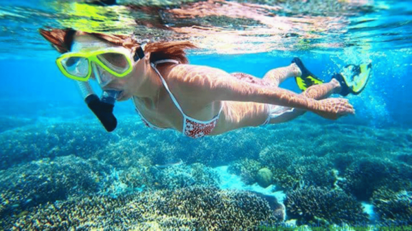 Hoi An: Cham Island Snorkeling or Underwater Walking Tour - Best Time to Visit